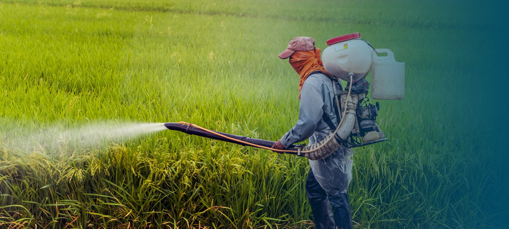 Occupational Safety & Health (OSH) Online Certificate: Insecticide Distribution